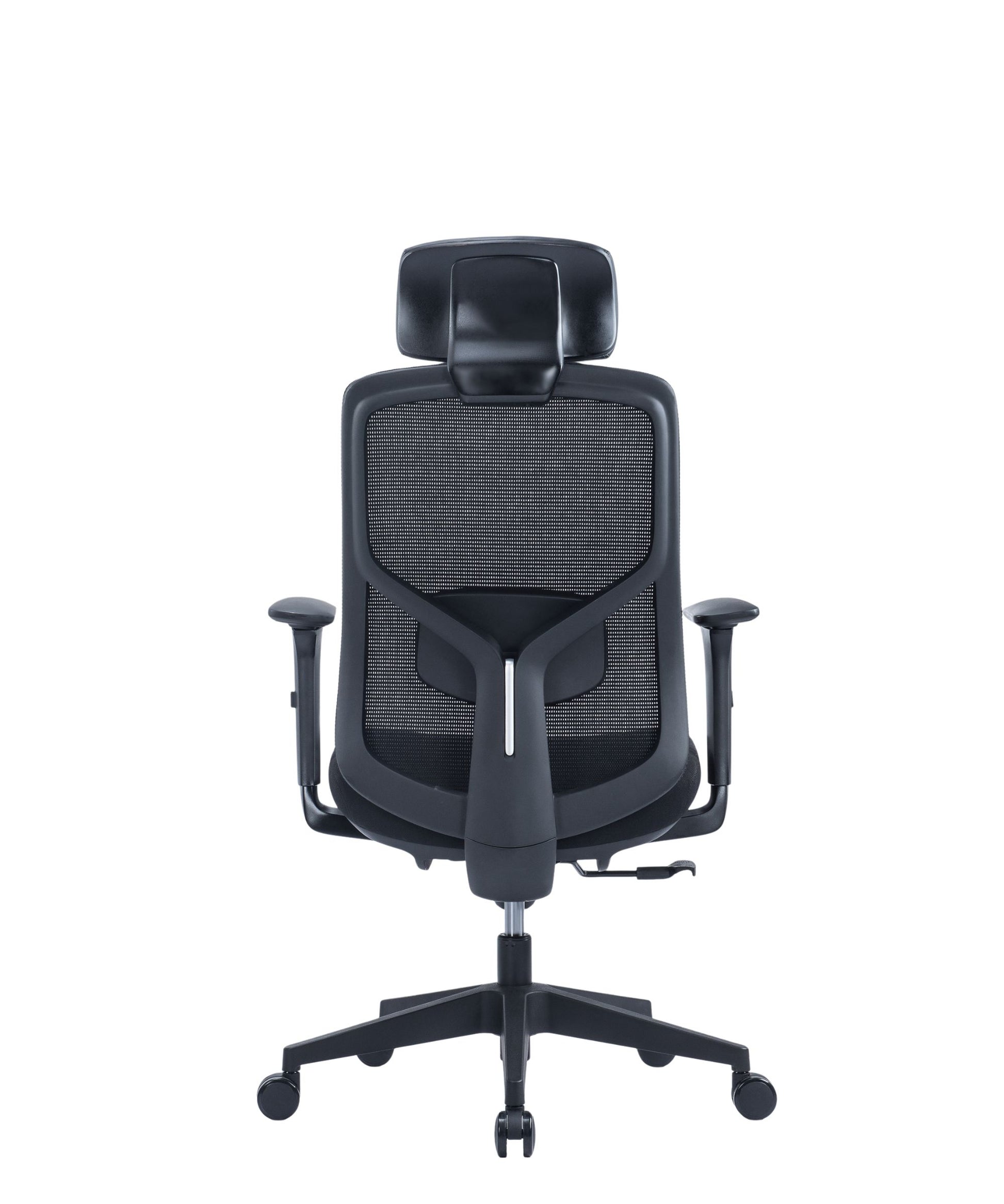 Back Image