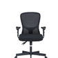 Multi Paddle Mesh Back Task Chair